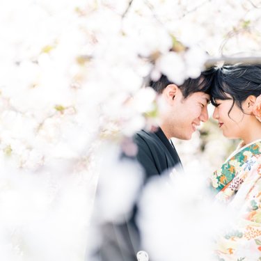 満開の桜の枝越しに、おでこを寄せ合う黒紋付の新郎と花柄の色打掛の花嫁。桜前撮りで人気の和装ロケーションフォト