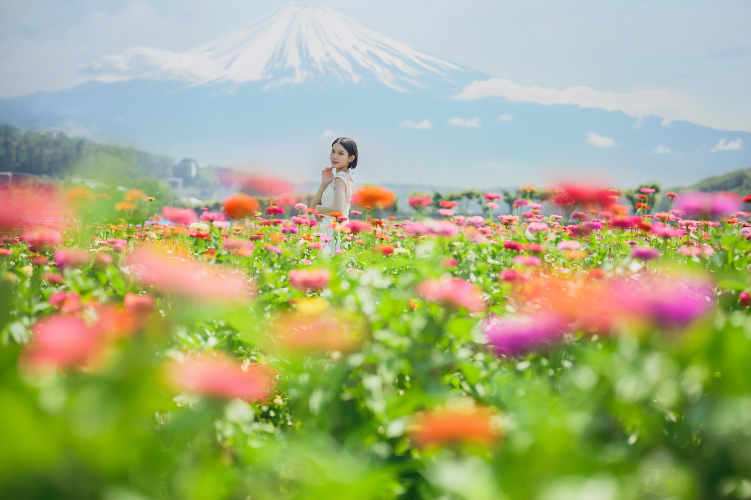 富士山花畑フォトウェディング