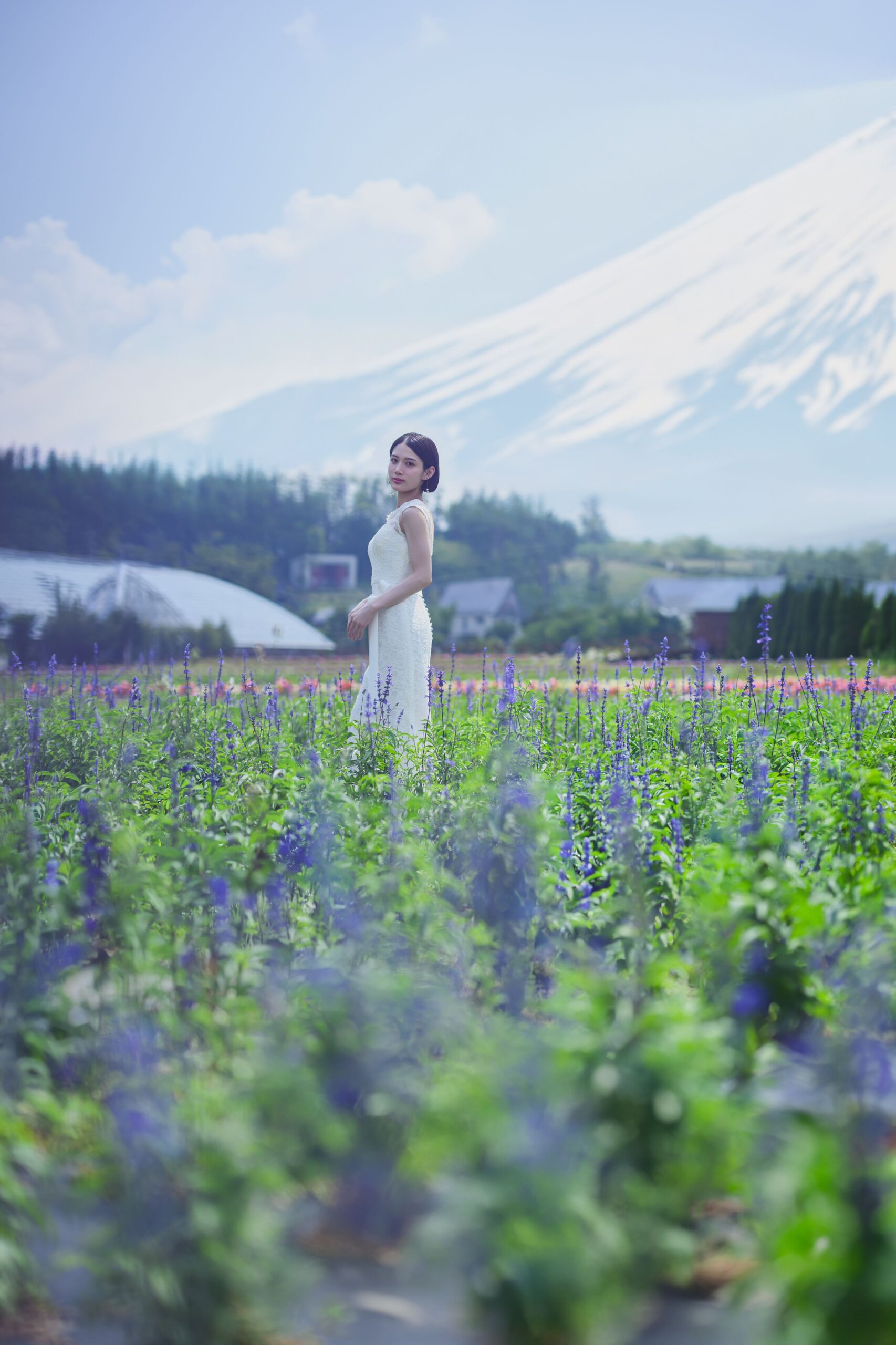 富士山季節の花畑フォトウェディング