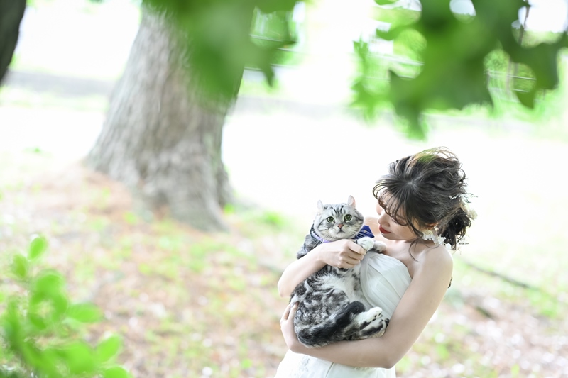 猫と撮った結婚写真