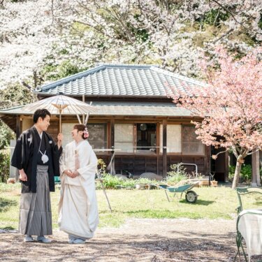 満開の桜と河津桜に囲まれ、和傘を差しかける新郎と微笑む白無垢の花嫁。日本家屋を背にした春の和装フォトウェディング