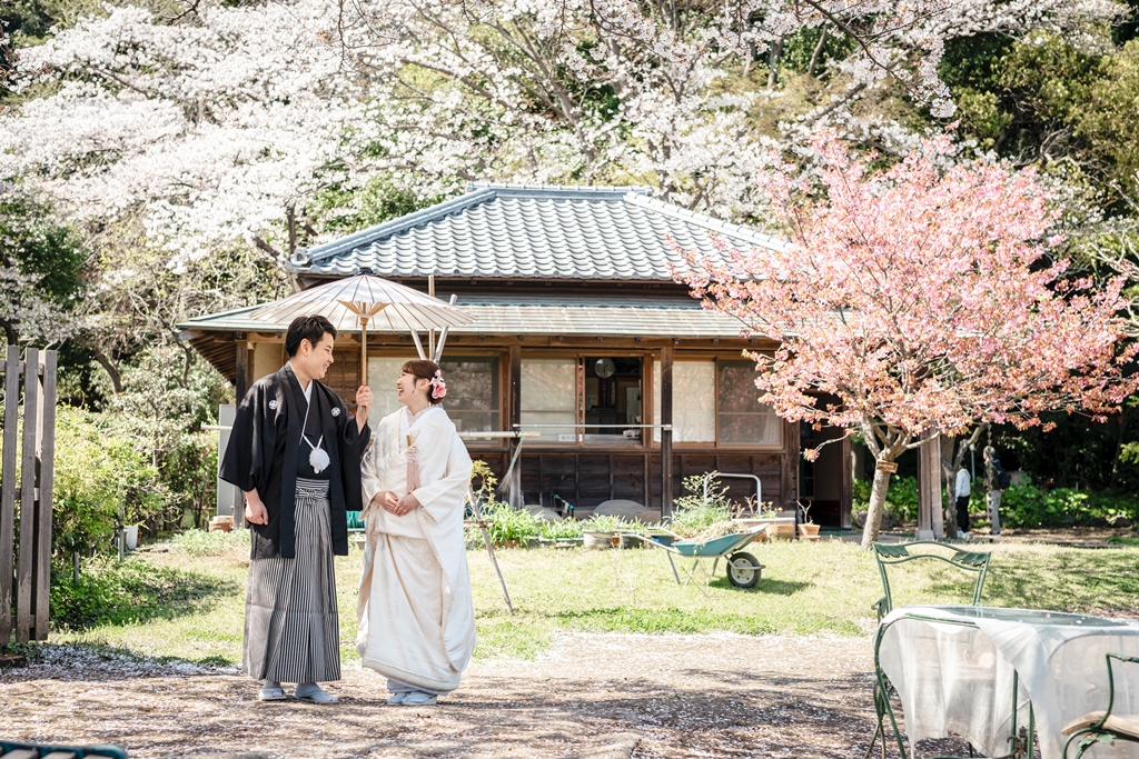 みその公園「横溝屋敷」の満開の桜と桃色の花に彩られた古民家の庭で見つめ合う黒紋付袴の新郎と白無垢の新婦