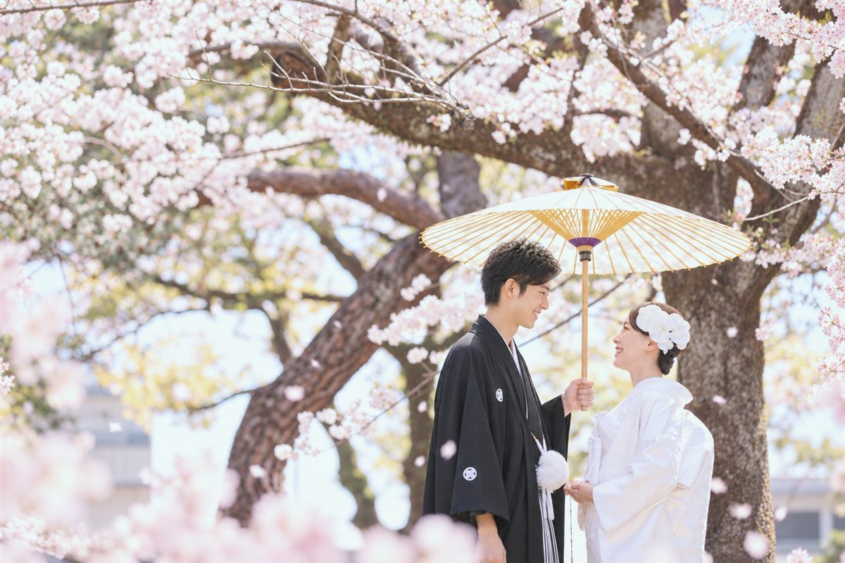 満開の桜の下、和傘を差しかけて白無垢の花嫁と微笑み合う紋付袴の新郎。桜ロケーションフォト