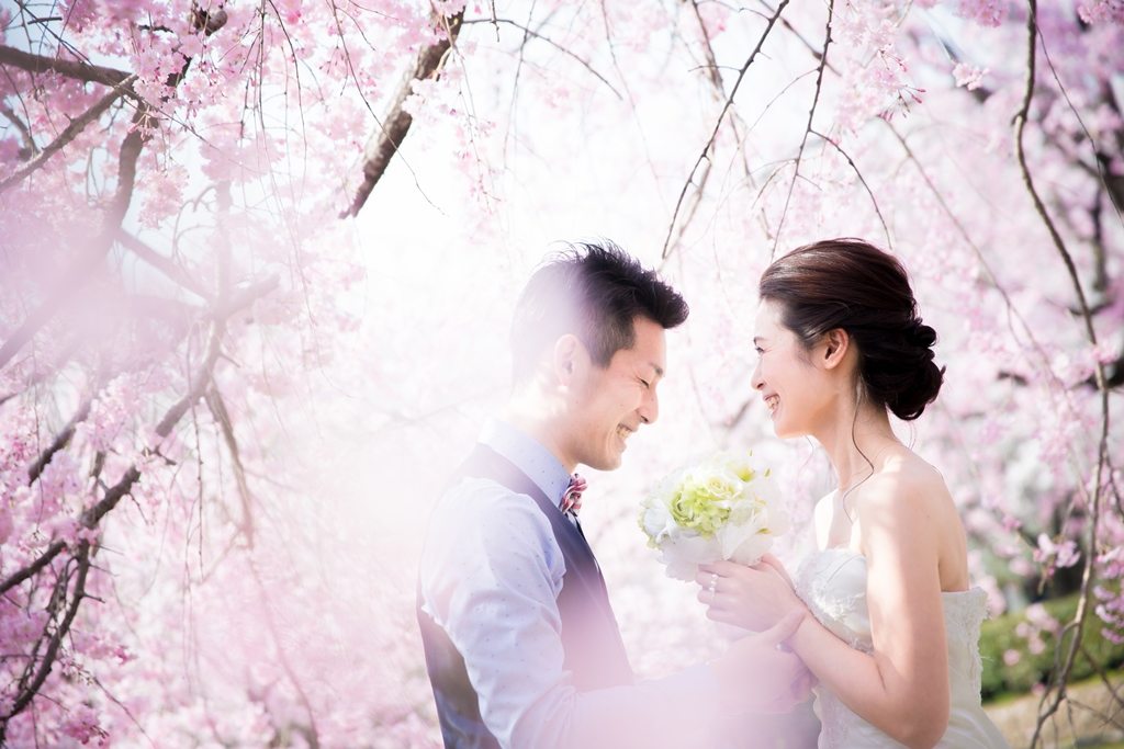 ピンクの桜に包まれて見つめ合う、ベスト姿の新郎とウェディングドレスの花嫁。春の洋装前撮り