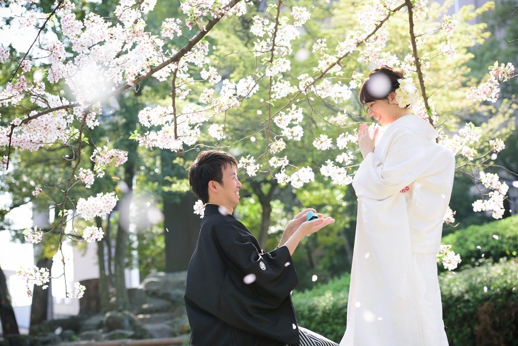 桜の下でひざまずいて花嫁にプロポーズする紋付袴の新郎と、白無垢の花嫁。和装前撮りのプロポーズポーズ