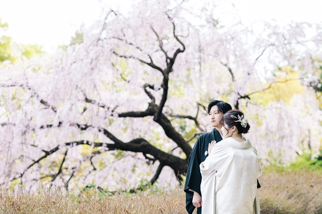 大きなしだれ桜の下で寄り添う、白無垢の花嫁と紋付袴の新郎。桜の日本庭園で撮る和装前撮り