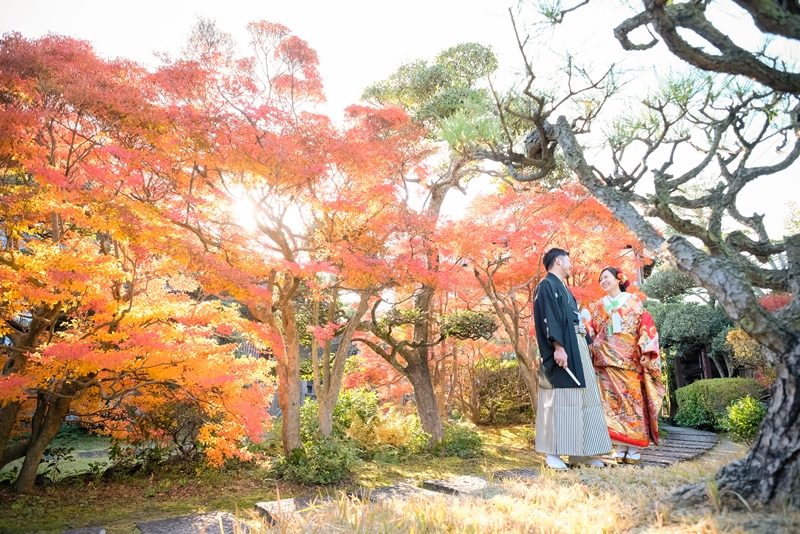 色づいた紅葉の木の下で撮影した和装の新郎新婦。11月の紅葉シーズンに撮る和装前撮り